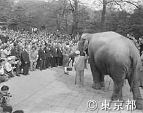 ネルー首相が上野動物園に来園