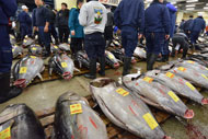 Final tuna auction held at Tsukiji Market