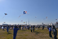 Horikiri Large Kite Flying Contest
